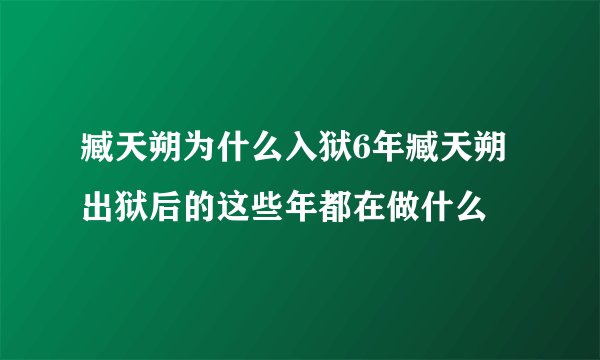 臧天朔为什么入狱6年臧天朔出狱后的这些年都在做什么