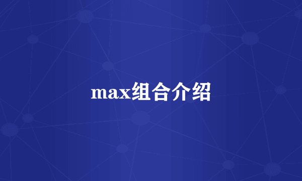 max组合介绍