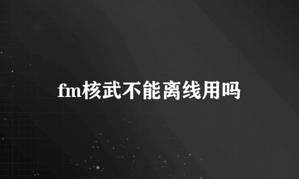 fm核武不能离线用吗