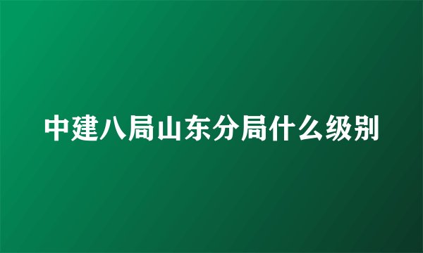 中建八局山东分局什么级别