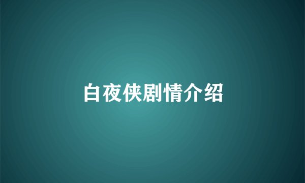 白夜侠剧情介绍