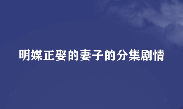 明媒正娶的妻子的分集剧情