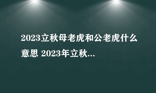 2023立秋母老虎和公老虎什么意思 2023年立秋是公老虎还是母老虎