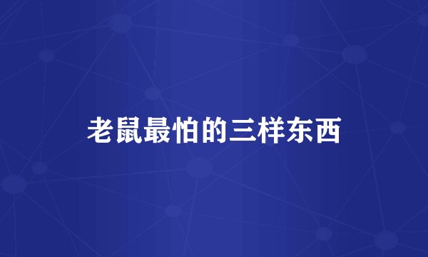 老鼠最怕的三样东西
