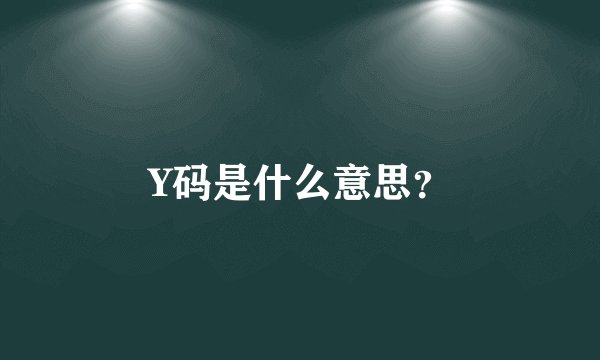 Y码是什么意思？