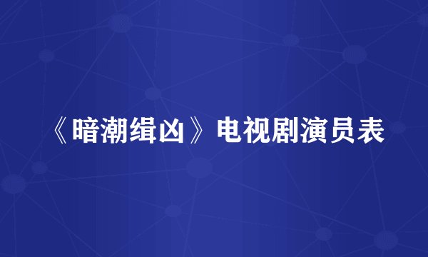 《暗潮缉凶》电视剧演员表