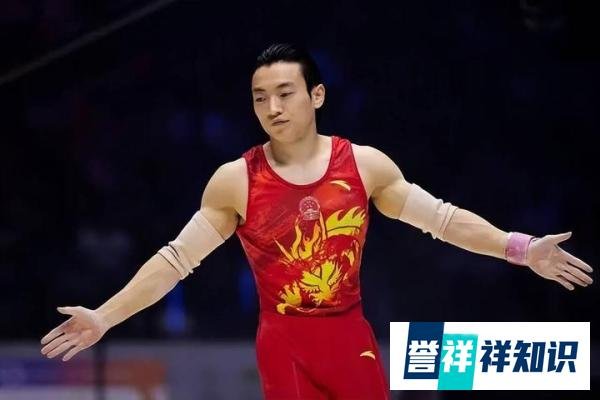 邹敬园巴黎夺金,双杠之王卫冕成功续写辉煌
