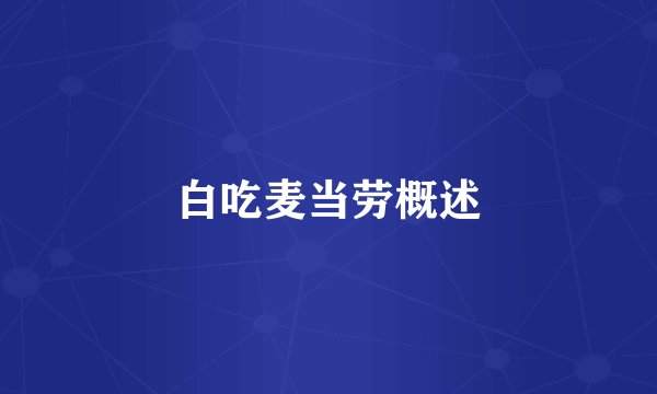 白吃麦当劳概述