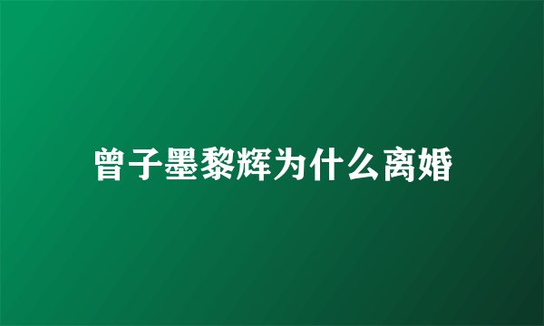 曾子墨黎辉为什么离婚