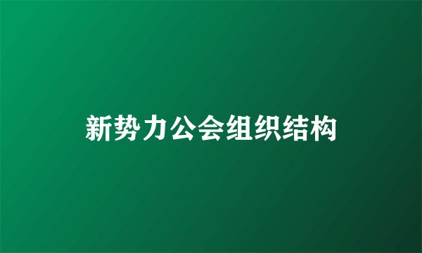 新势力公会组织结构