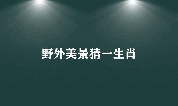 野外美景猜一生肖