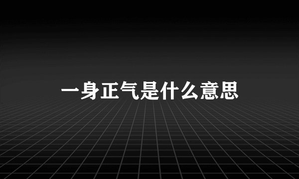 一身正气是什么意思