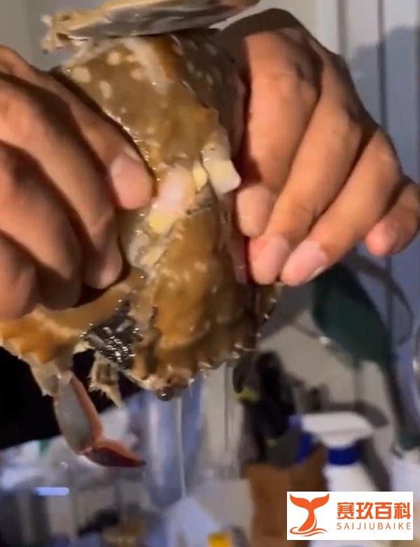 男子400元买4箱海鲜解冻后全是空壳，可怜之人必有可恨之处！