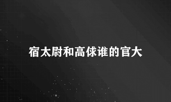 宿太尉和高俅谁的官大