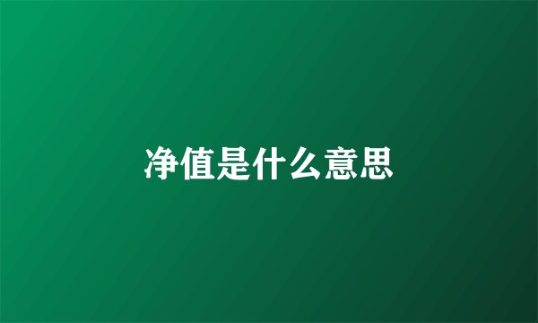 净值是什么意思