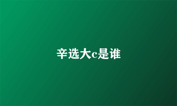 辛选大c是谁