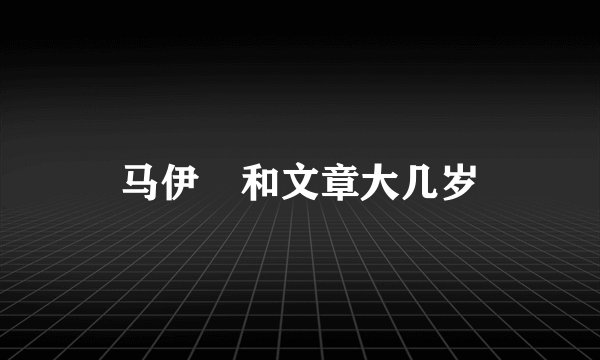 马伊琍和文章大几岁