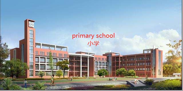 prime, primary, primal有什么区别