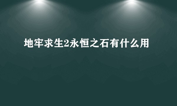 地牢求生2永恒之石有什么用