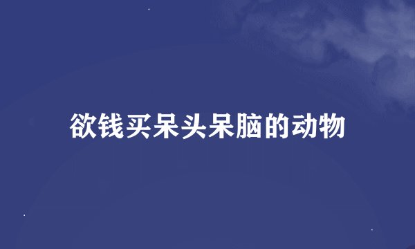 欲钱买呆头呆脑的动物