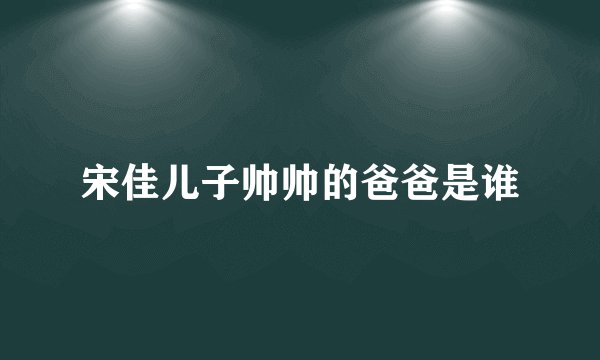 宋佳儿子帅帅的爸爸是谁