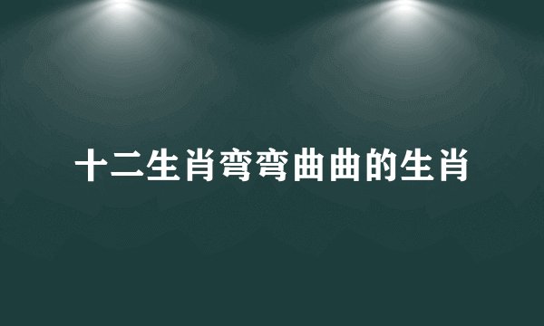 十二生肖弯弯曲曲的生肖