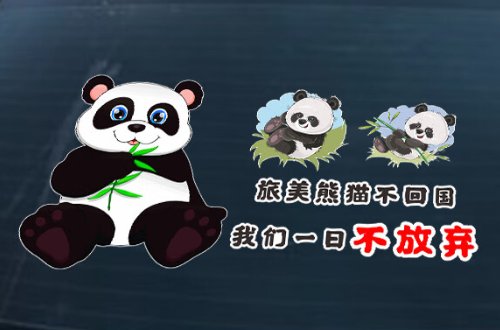丫丫是什么时候回国的