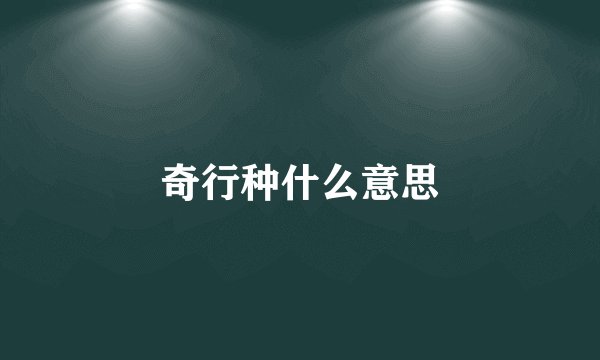 奇行种什么意思