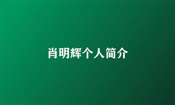 肖明辉个人简介