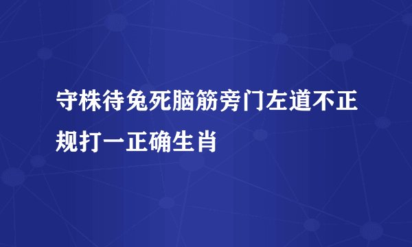 守株待兔死脑筋旁门左道不正规打一正确生肖