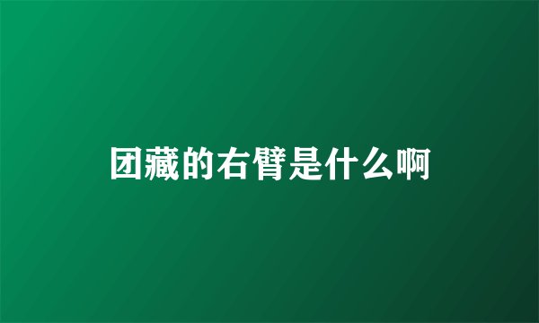 团藏的右臂是什么啊
