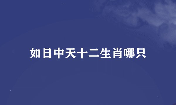 如日中天十二生肖哪只
