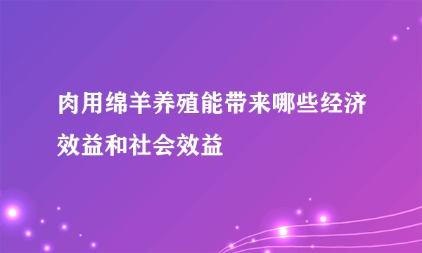 肉用绵羊养殖能带来哪些经济效益和社会效益