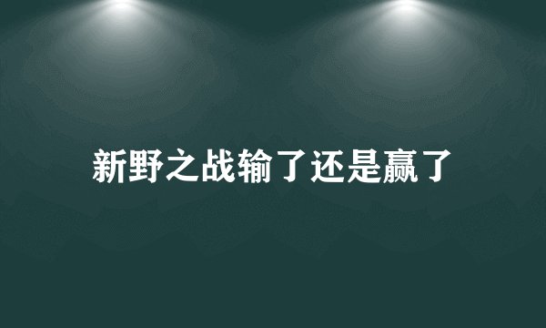新野之战输了还是赢了
