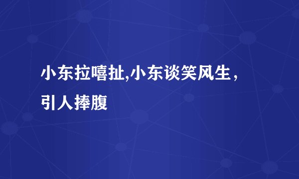 小东拉嘻扯,小东谈笑风生，引人捧腹