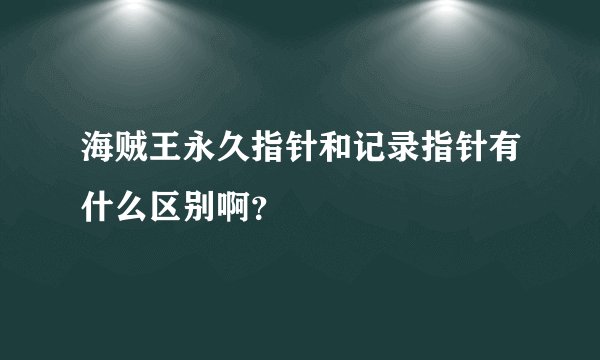 海贼王永久指针和记录指针有什么区别啊？