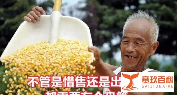 粮价大涨，通胀要来了？关于今年粮价的3个预测，农民早做准备