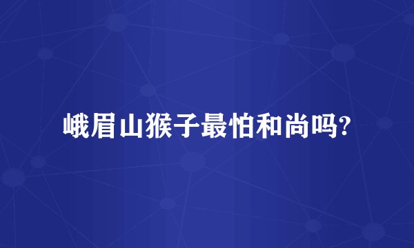 峨眉山猴子最怕和尚吗?