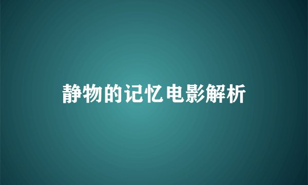 静物的记忆电影解析