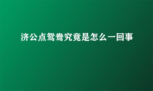 济公点鸳鸯究竟是怎么一回事