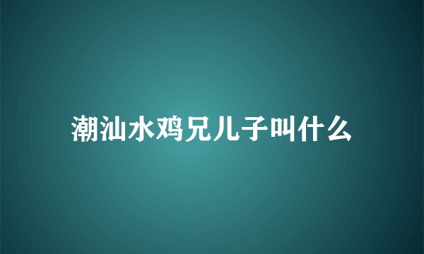 潮汕水鸡兄儿子叫什么