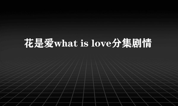 花是爱what is love分集剧情