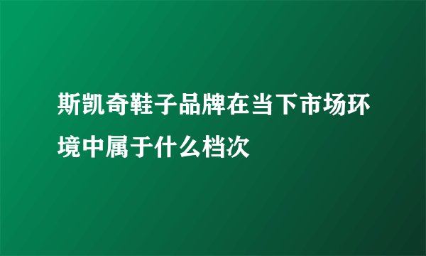 斯凯奇鞋子品牌在当下市场环境中属于什么档次