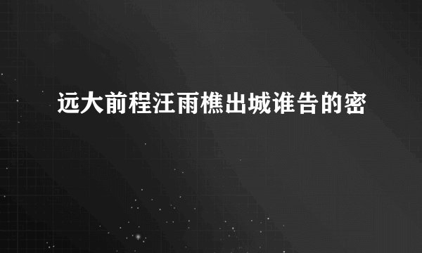 远大前程汪雨樵出城谁告的密