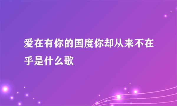 爱在有你的国度你却从来不在乎是什么歌