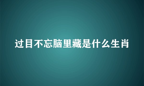 过目不忘脑里藏是什么生肖