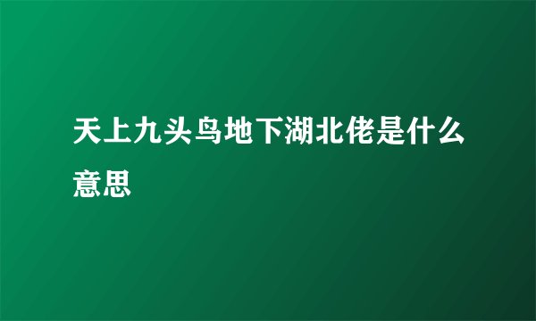 天上九头鸟地下湖北佬是什么意思