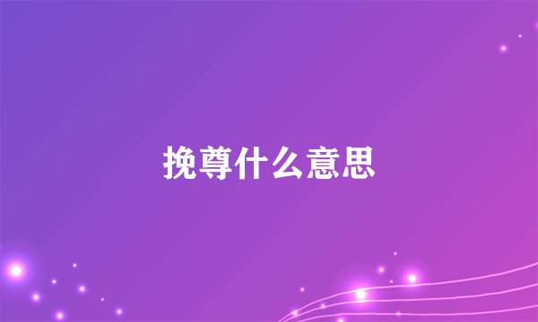 挽尊什么意思