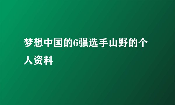 梦想中国的6强选手山野的个人资料