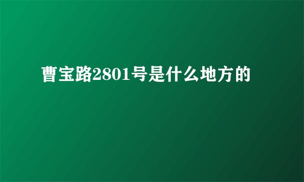 曹宝路2801号是什么地方的